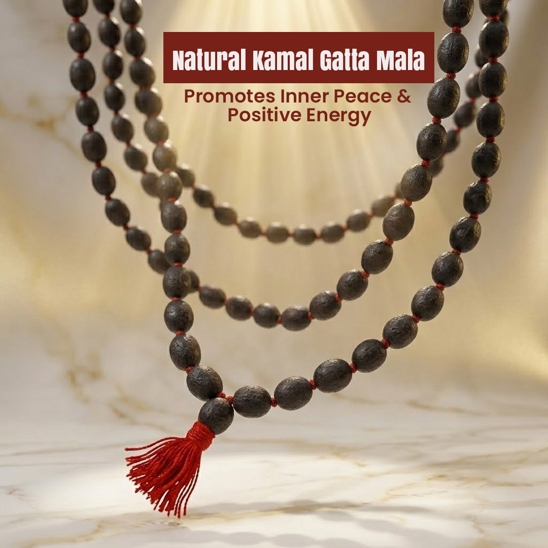 Kamal Gatta Mala | Lotus Seed Beads Mala for Lakshmi Puja & Meditation